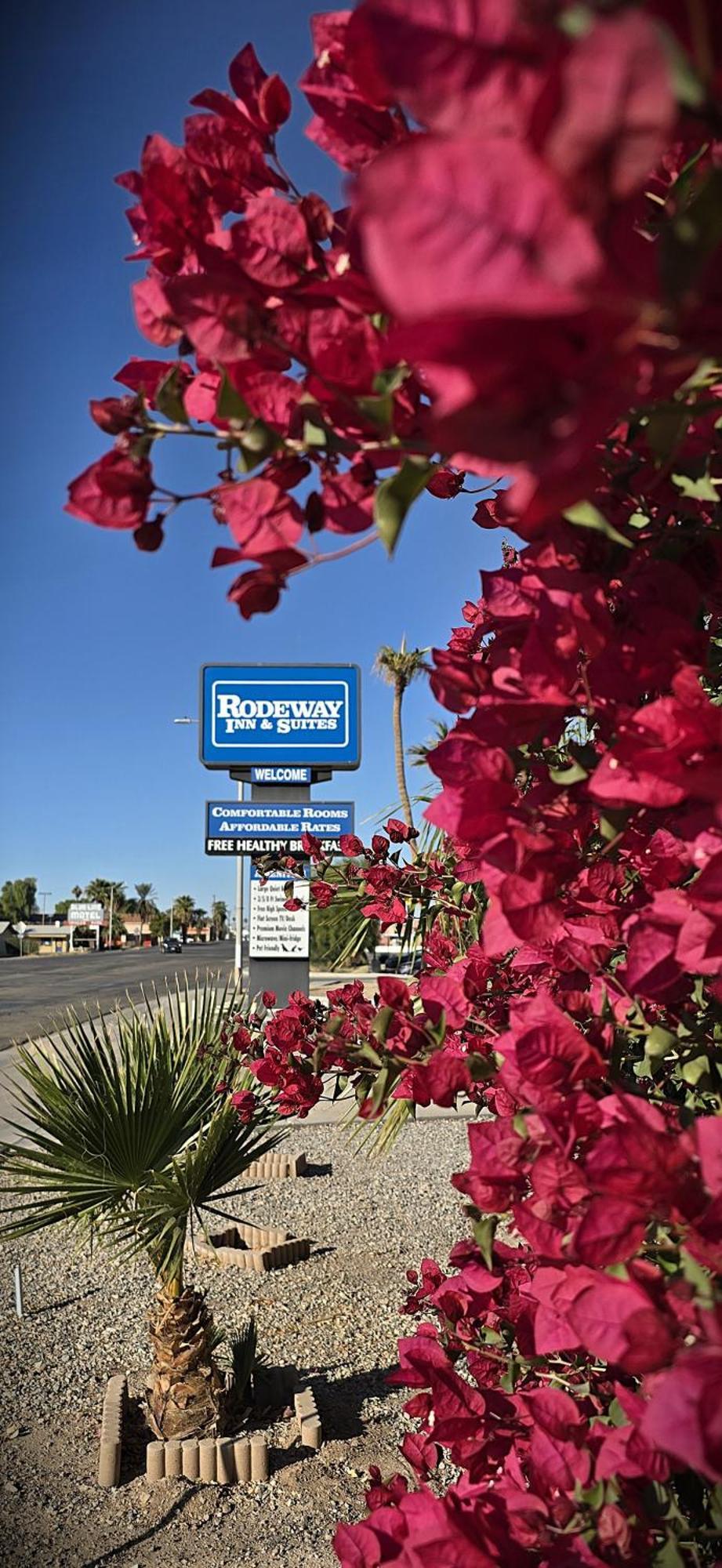Rodeway Inn & Suites Blythe I-10 Exterior photo